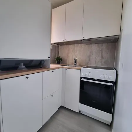 Seinaejoen Puistokulma Daire *