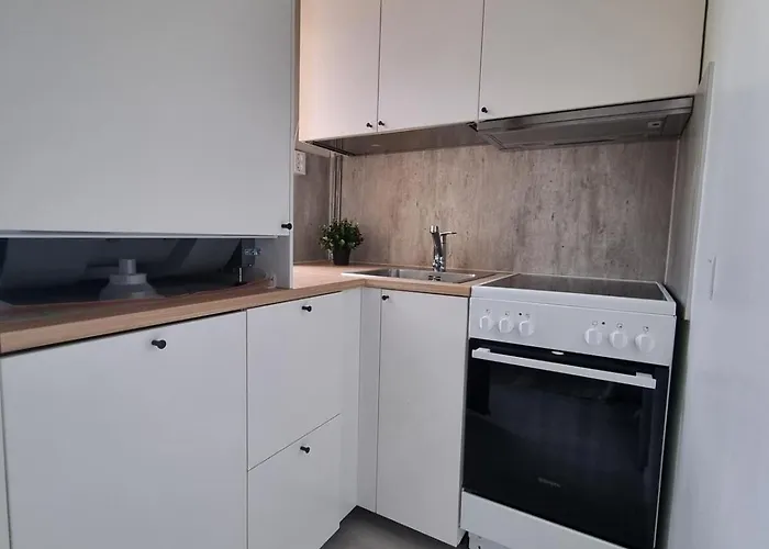 Seinaejoen Puistokulma Apartamento *
